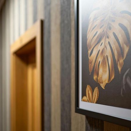 Apartments Alkantara Хжанув Экстерьер фото
